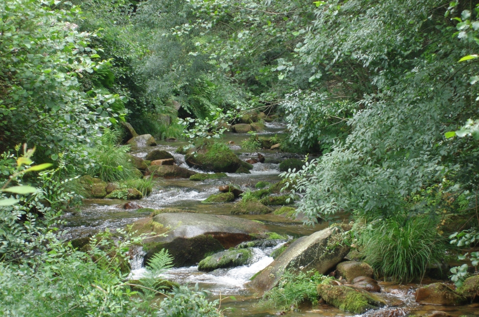 Río Trancoso - Proxecto Carisma