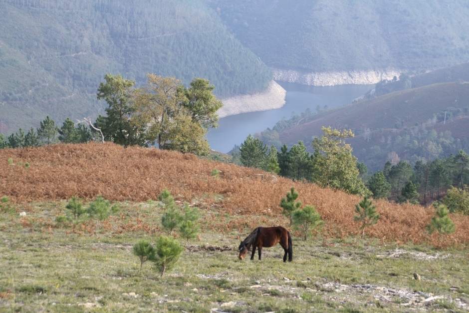 Río Laboreiro, contorno